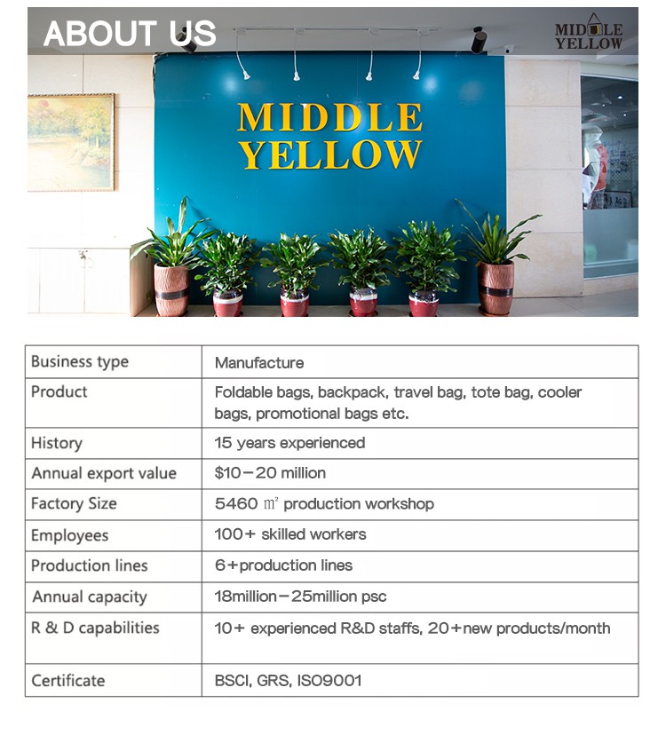 chest waist bag company introduction